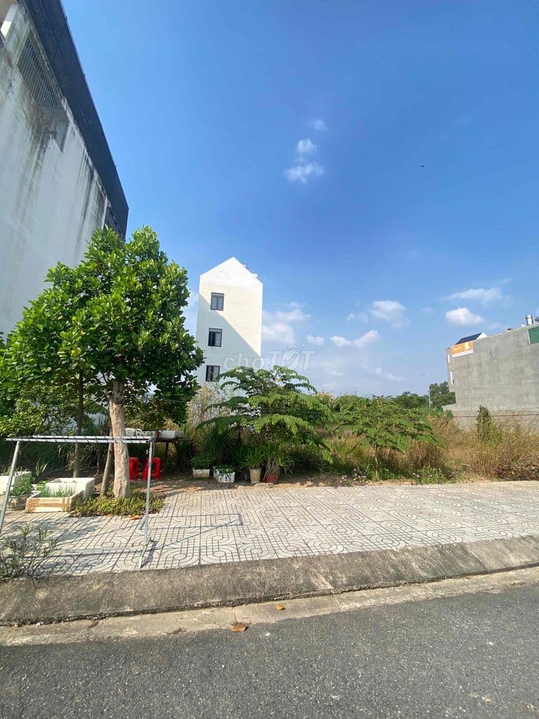 BÁN ĐẤT 6M x 19M (114m2) đường Trần Văn Giàu_Thích hợp ở và đầu tư - Ảnh 3