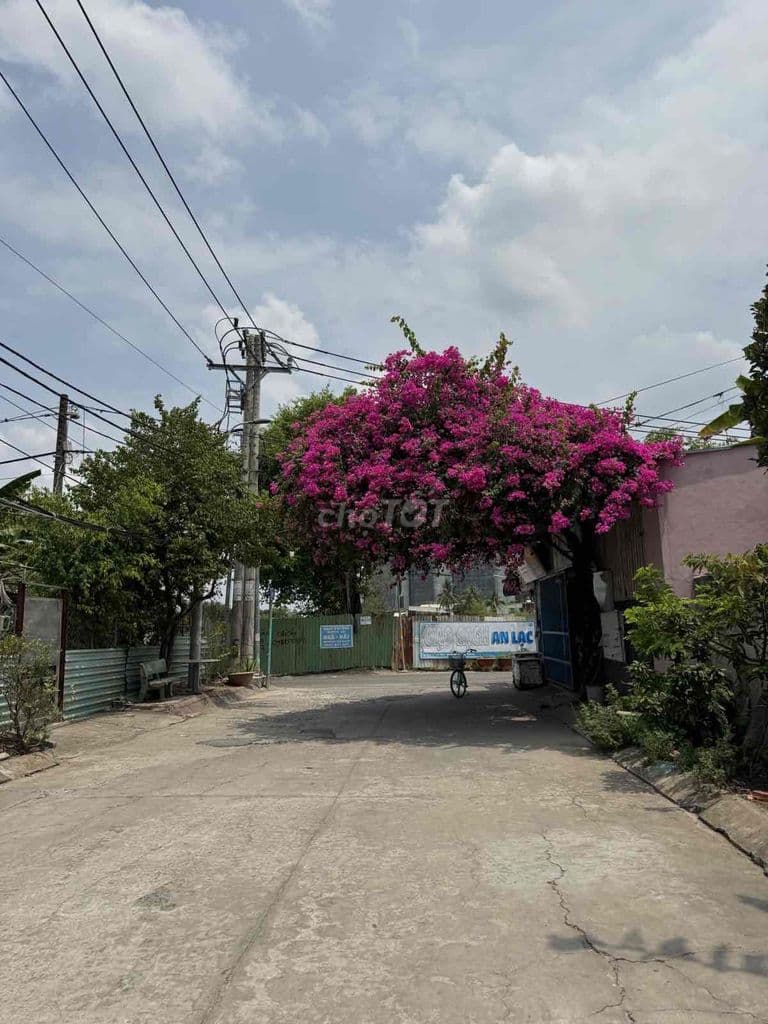 ĐẤT NỀN KHU PHÂN LÔ ĐƯỜNG TRƯỜNG THẠNH - ĐƯỜNG OTO THÔNG - LÒ LU - Ảnh 3