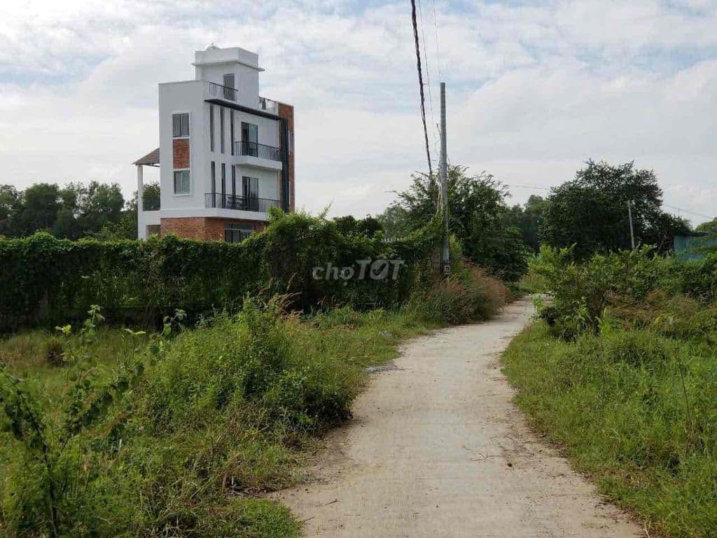 2100m đất vườn xã Bình Chánh thích hợp nhà vườn - Ảnh 2