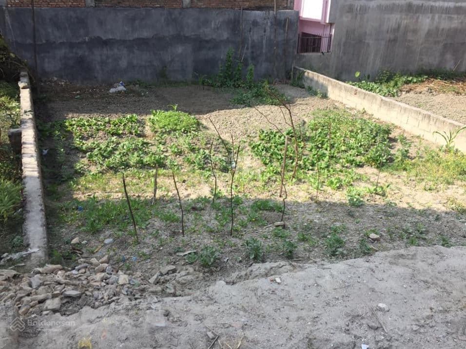 Bán đất Ngũ Hiệp, Đông Mỹ, Vạn Phúc, Thanh Trì - Ảnh 3