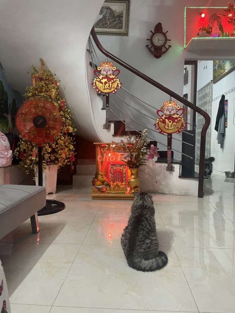 NHÀ ĐẸP LŨY BÁN BÍCH 1 LẦU 3 PN_ GIÁ TỐT CHỈ 5TỶ TL - Ảnh 2