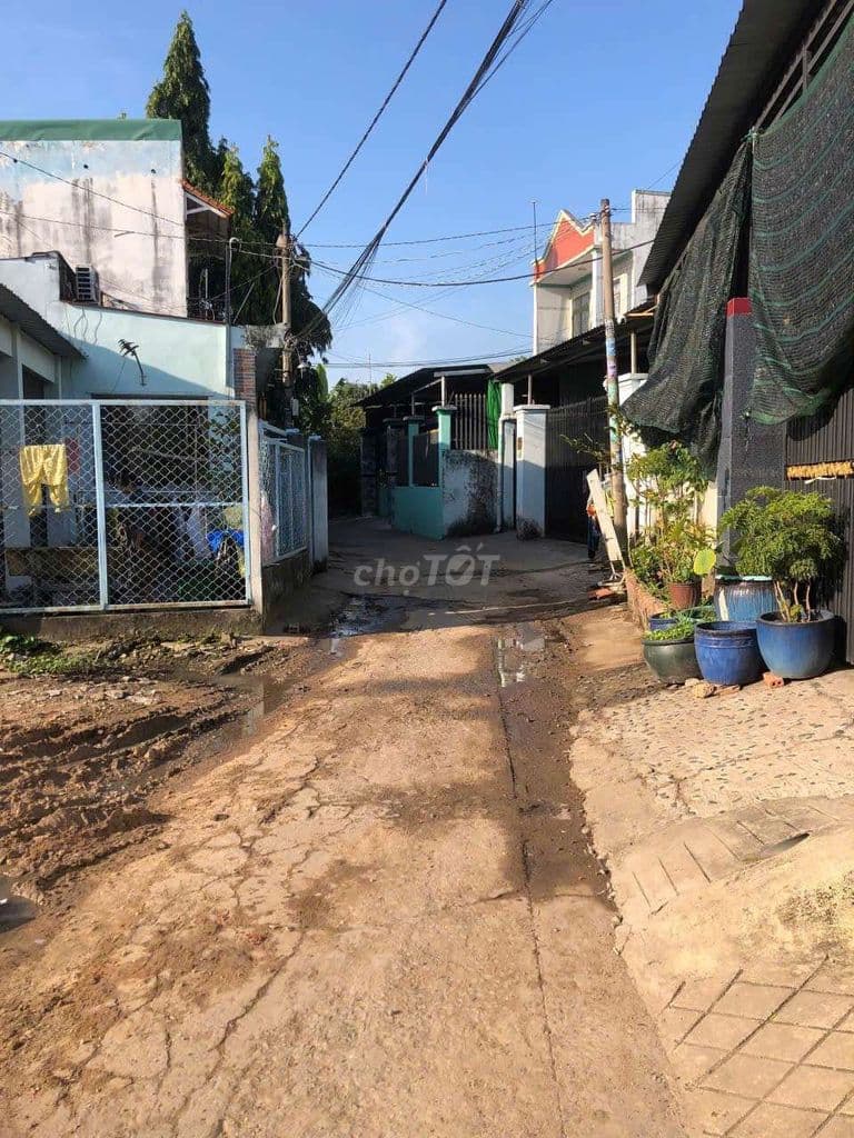 BÁN ĐẤT 240M² XUÂN THỚI SƠN – HÓC MÔN – CHỈ 23 TRIỆU/M2 - Ảnh 2