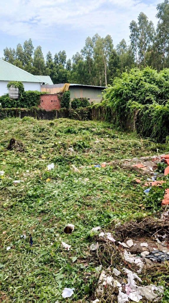 Đất nền SHR mặt tiền Xuân Thới Sơn 9A-Hóc Môn.Dt 285m2~5,6ty - Ảnh 3