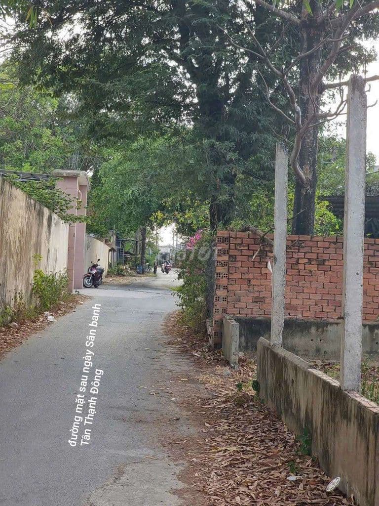 ĐẤT CHÍNH CHỦ 2 MẶT TIỀN NGUYỄN THỊ NẾP, DT: 800m2, SHR, CHỈ 8.3 TỶ - Ảnh 3