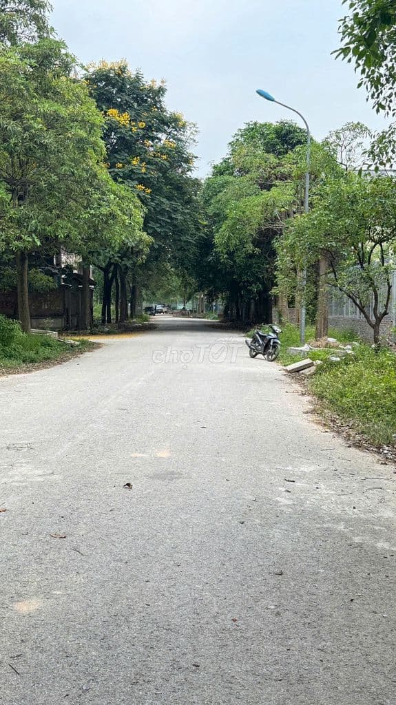 BIỆT THỰ 300m² TẠI KHU ĐÔ THỊ HÀ PHONG KHÔNG GIAN SỐNG ĐẲNG CẤP - Ảnh 2