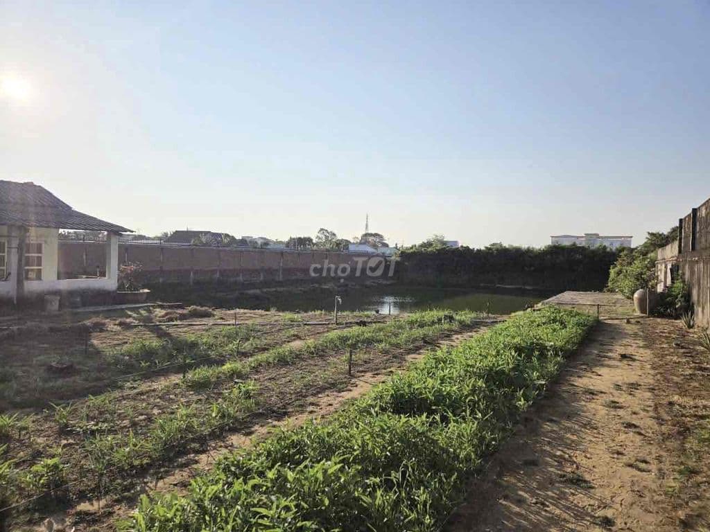 Chính chủ cần bán 27x77m phía sau mặt tiền đường Duyên Hải - 30tỷ - Ảnh 2