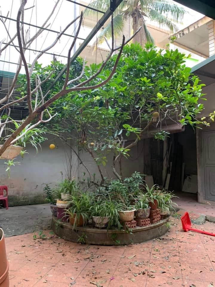 Bán nhanh mảnh đất ngõ Thanh Lân, giá 19.65 tỷ, hơn 130m2, KD tốt - Ảnh 3