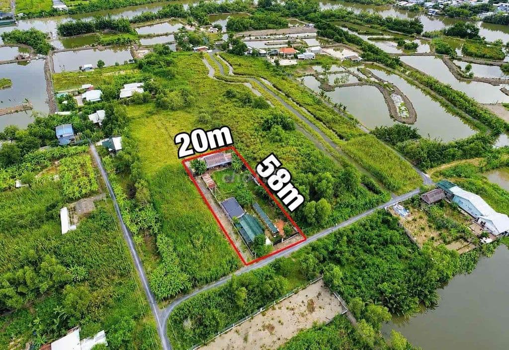 Bán đất 20x58m, làm nhà vườn, Lê Văn Lương, Hẻm xe hơi, 5.6tỷ - Ảnh 2