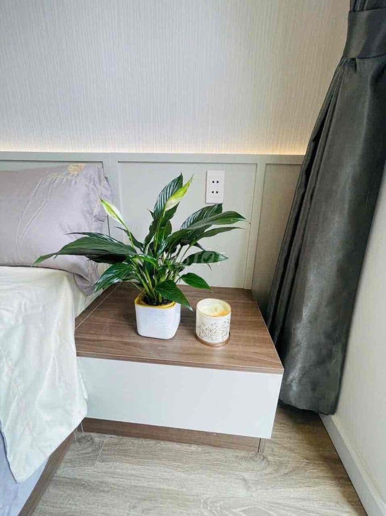 ✅ Hiếm có, nhà cách Huỳnh Tấn Phát 15m , hỗ trợ vay 2 tỷ. - Ảnh 3