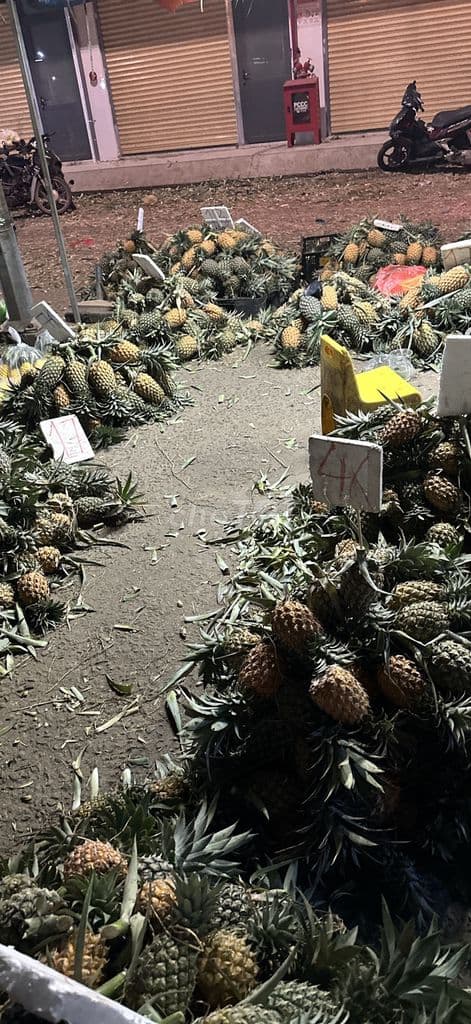 SANG VỰA THƠM CHỢ ĐẦU MỐI HÓC MÔN