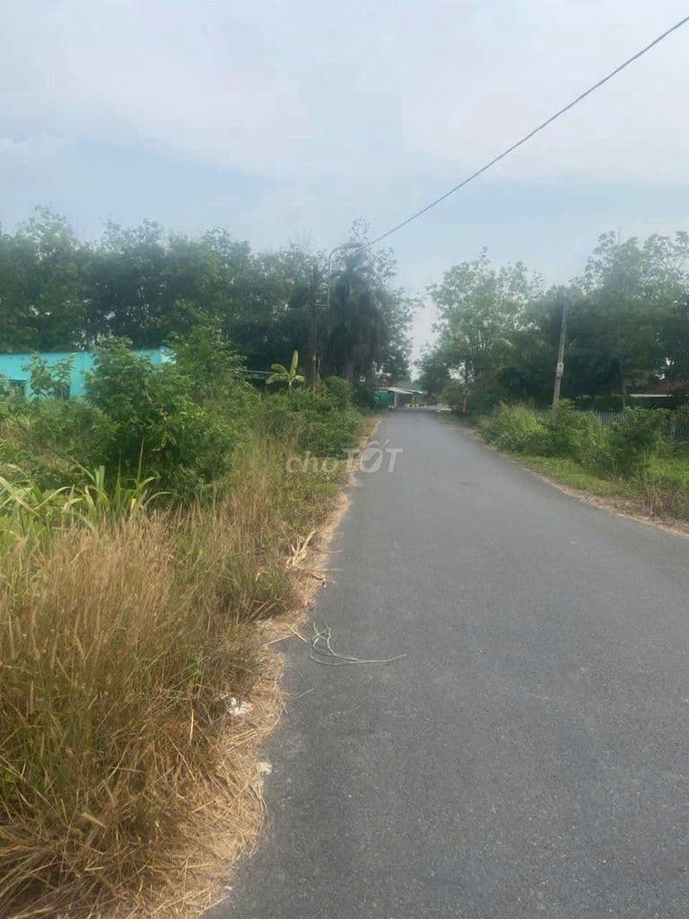 Bán Lô Đất đường Nguyễn Thị Nê Củ Chi TP HCM