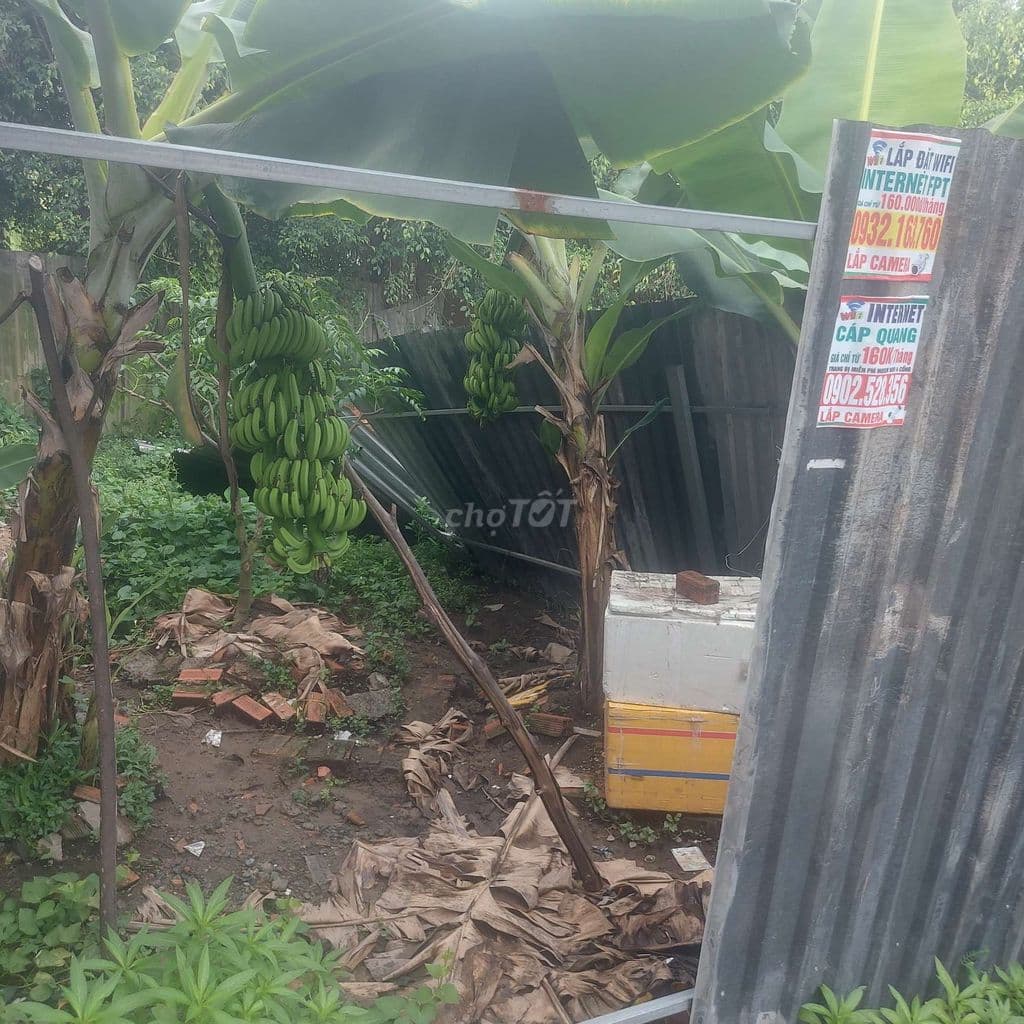 đất cần bán