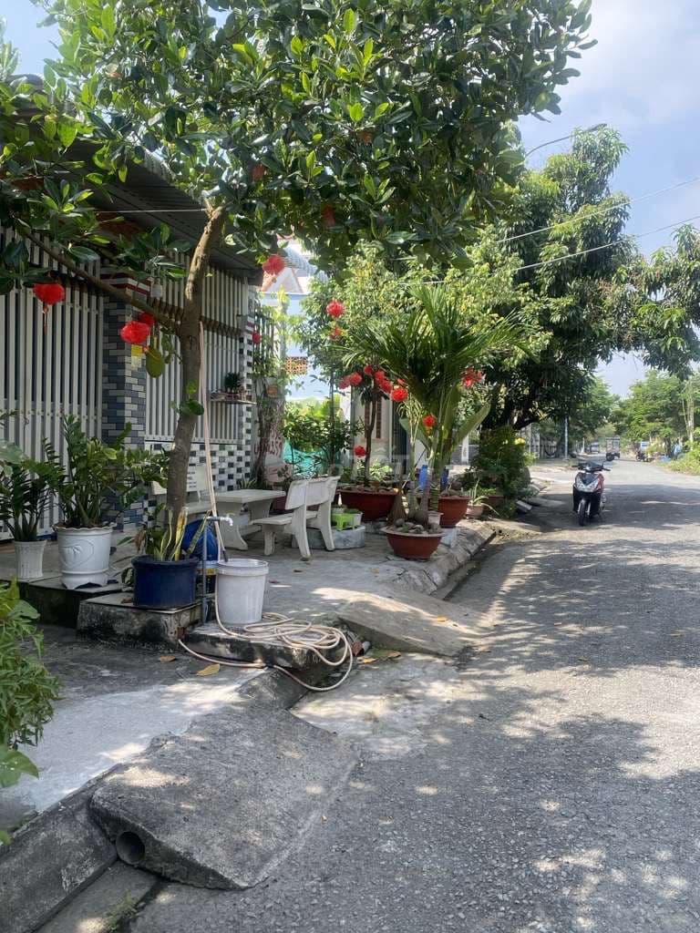 141M2- SHR- 4TỶ5- ĐẤT Ở ĐƯỜNG NHỰA 8M NGAY KCN HIỆP PHƯỚC-KDC HIỆN HỮU - Ảnh 2