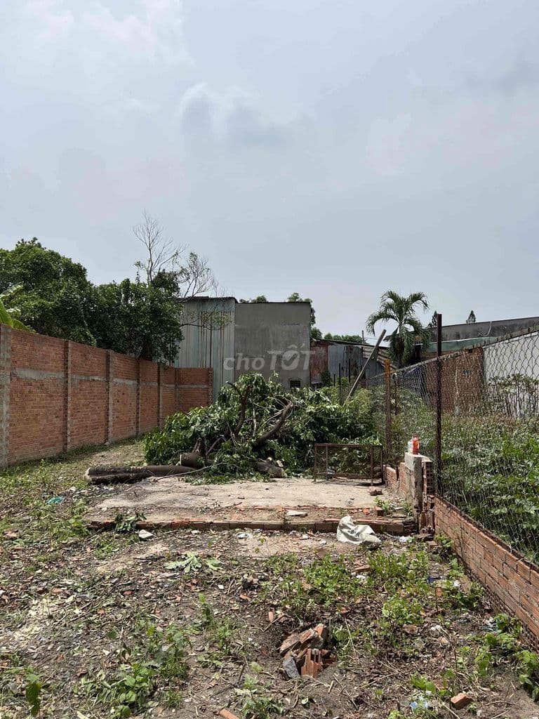 Đất full thổ cư 255m2 tiện làm nhà ở, nhà vườn sinh thái, kho xưởng - Ảnh 3