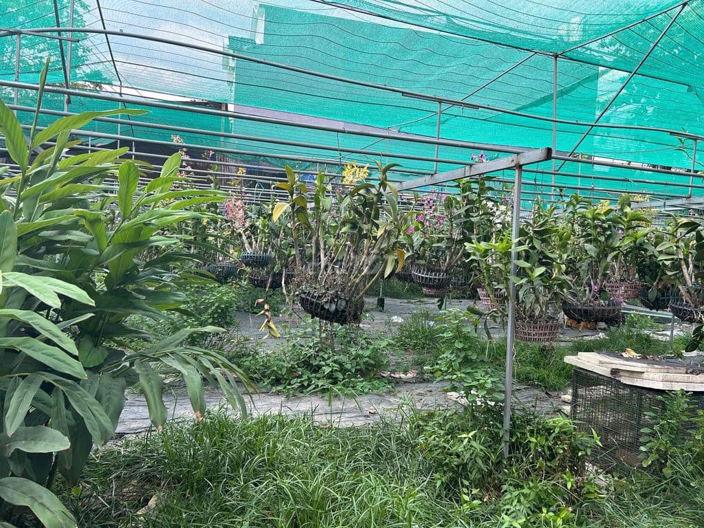 Đất Xây Kho Xưởng - Ảnh 2