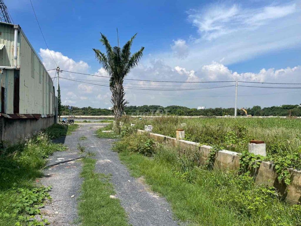 Bán đất 1 sẹc sông vàm thuật vườn lài nhìn sang gò vấp - Ảnh 3