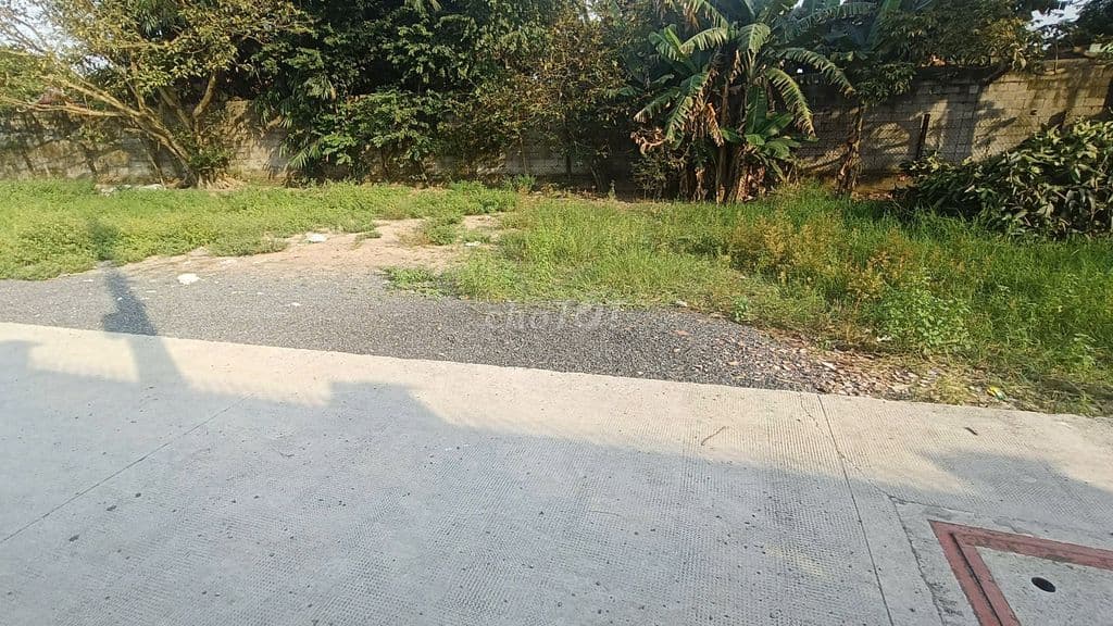 Đất thổ cư DT 10x12.5 1/Nguyễn Văn Bứa, gần trường Nguyễn Hồng Đào HM