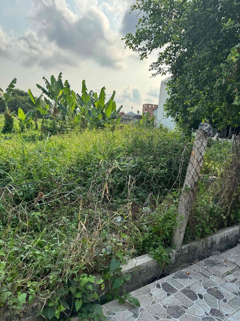 cần bán đất thổ cư q12 - Ảnh 3