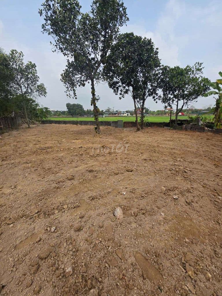 Giá hơn 11tr/m Full thổ cư 275m có View Đồng gần đường 1.500 ty và UB - Ảnh 3