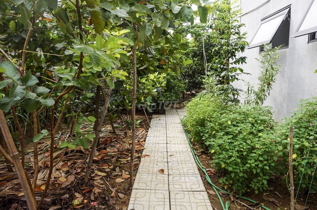 Bán nhà vườn đẹp, không gian sống lý tưởng tại xã Phú Nghĩa, Chương Mỹ - Ảnh 2