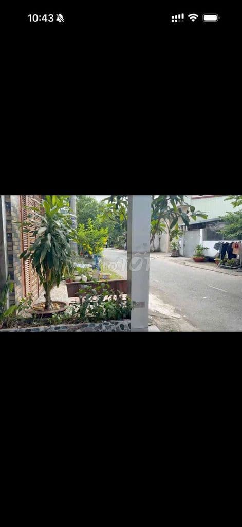 cần bán gấp căn nhà Mặt Tiền đường Xuân Thới thượng hóc môn - Ảnh 3