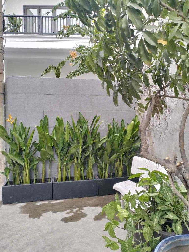 Bán nhà 1 trệt 1 lầu 76m2 hẻm xe hơi gần chợ Thủ Đức