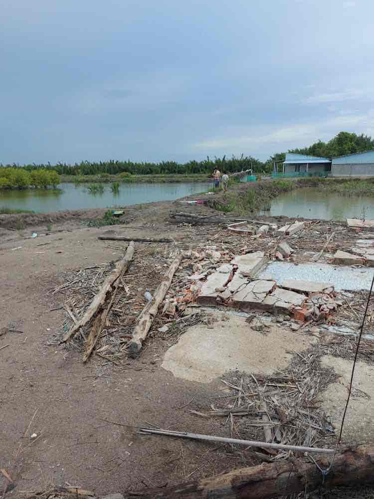 Đất Lý Nhơn, x. ATĐ, Cần Giờ: 20 x 50, giá 780 triệu. - Ảnh 3