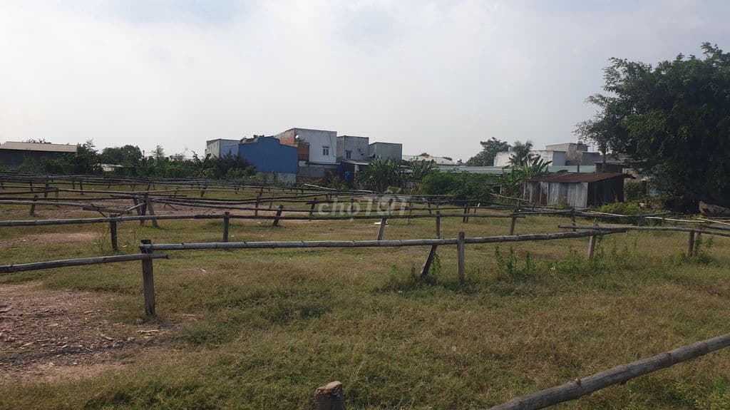 HOT- Bán gấp lô đất DT 510m2 (TC 340m2) mặt tiền XTS 37, Xuân Thới Sơn - Ảnh 2