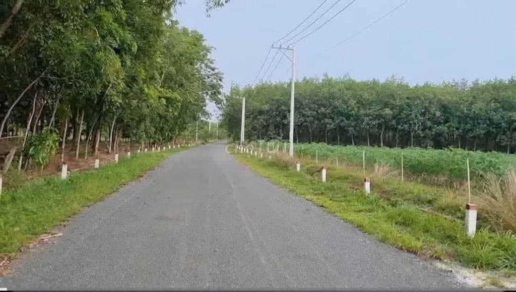 Bán đất Thanh An, hơn 1.7 tỷ