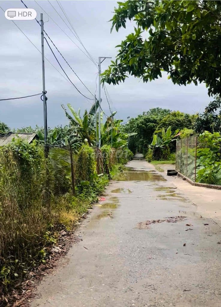 Bán vườn đào tặng căn nhà lắp ghép mới đẹp