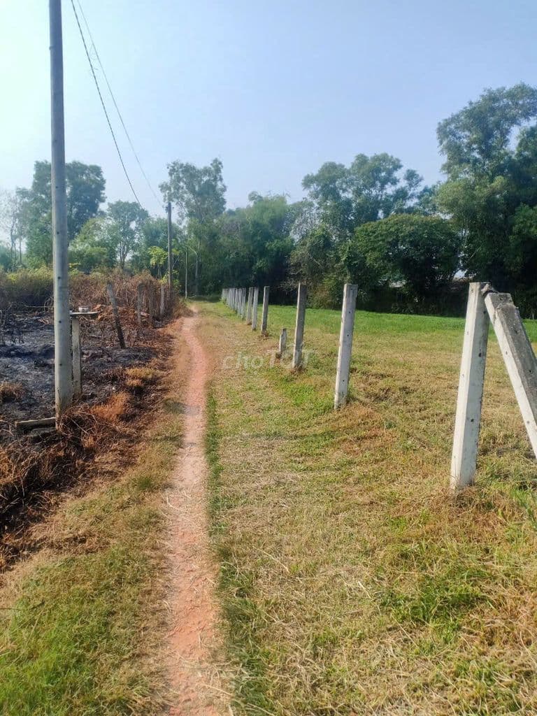 "NGỘP QUÁ NGỘP" HẠ GIÁ 850 TRIỆU BÁN LÔ ĐẤT 512M ĐẤT NÔNG NGHIỆP - Ảnh 3