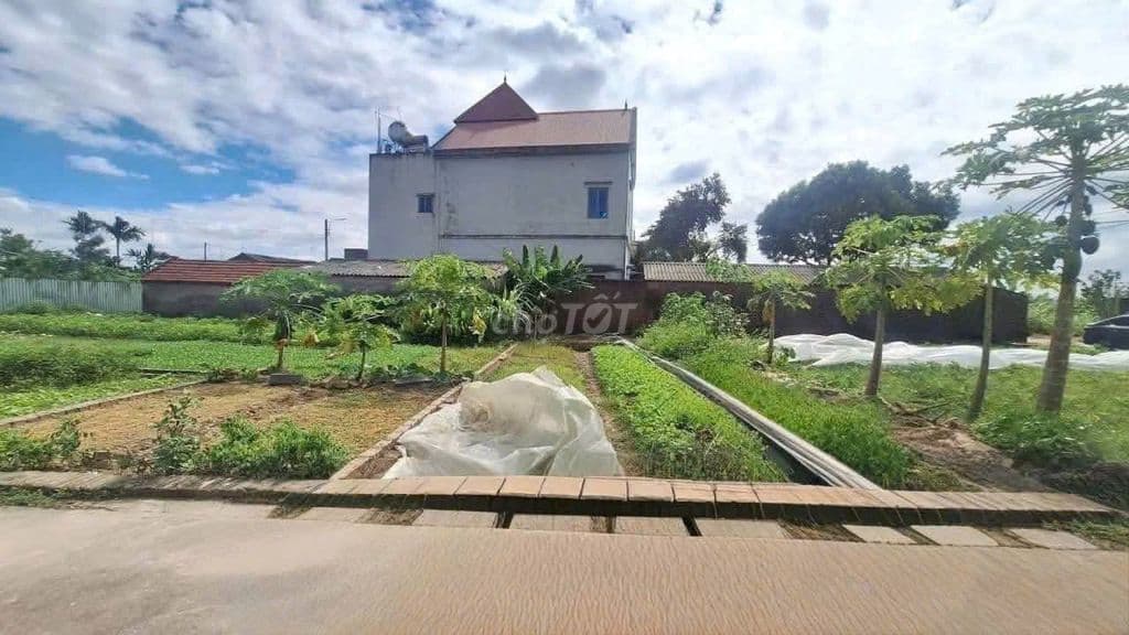 bán đất 52m2 Xuân Nộn Thư Lâm giá 3 tỷ
