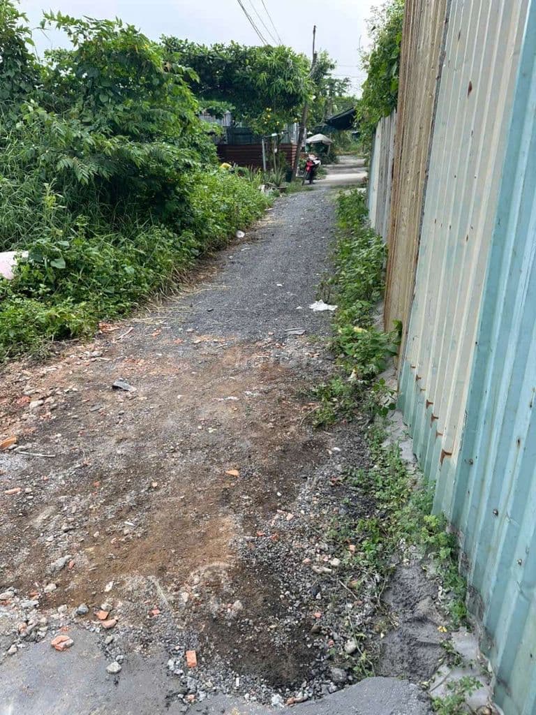 chính chủ cần bán đất trồng cây , 300m vuông, giá 1.5 ty, hh 50tr - Ảnh 3