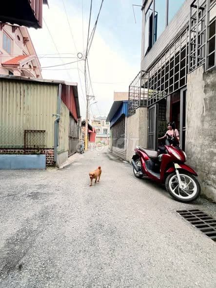 bán nhà 3 tầng Tiên Dương - giá 82 triệu/m² - Ảnh 2