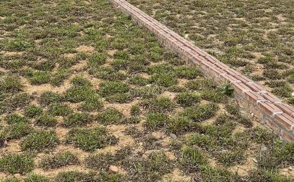 Đất 186m2 Sổ đỏ Giá Đặc Biệt Hời *** Tại Sơn Tây - Ảnh 3