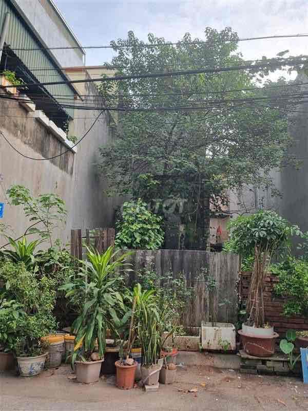 🌳 SỐNG KẾ BÊN HỒ ĐIỀU HÒA - ĐẤT THANH AM VỊ TRÍ VIP - 65M2 CHỈ 9,8 TỶ