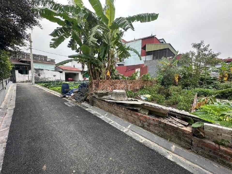 🏡 Ô TÔ VÀO TẬN ĐẤT - THƯ LÂM ĐÔNG ANH TÀI CHÍNH NHỎ