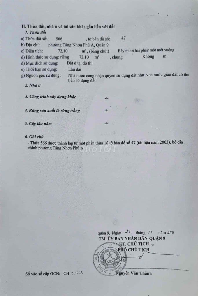 MẶT TIỀN ĐƯỜNG THÔNG XE HƠI TRÁNH NHAU - Ảnh 2