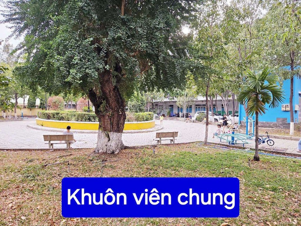 Căn hộ Ba Son Lầu 2 Đường Lê Đức Thọ p7 Gò Vấp. 2pn.wc - Ảnh 3