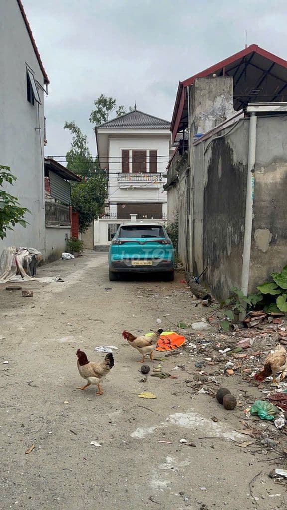 Chính chủ bán đất Khánh Vân, Khánh Hà, Thường Tín