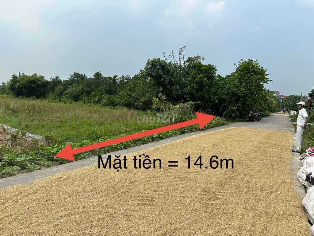 BÁN ĐẤT NÔNG NGHIỆP XÃ NỘI BÀI SÓC SƠN .DT 731M GIÁ CHỈ 850TR - Ảnh 3
