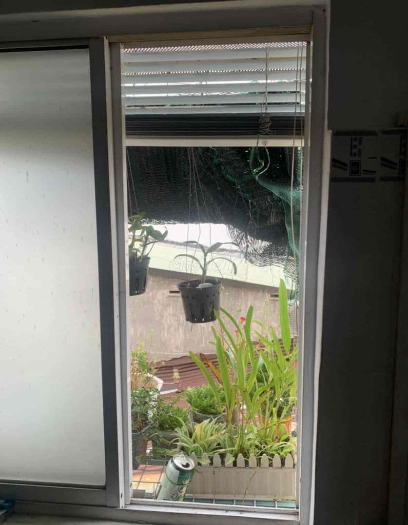 Cần bán gấp nhà nhỏ- SHR - Ảnh 3