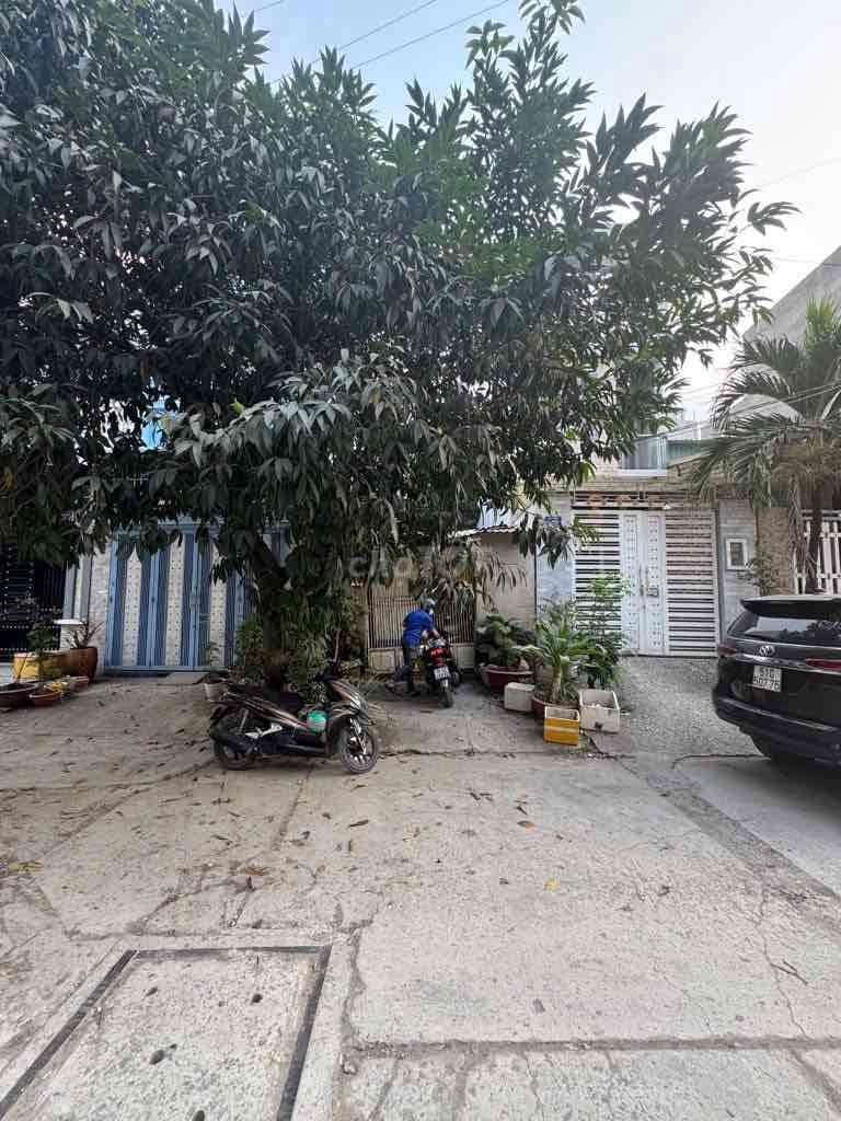 KHU PHÂN LÔ ĐƯỜNG 12m-NHÀ CẤP 4 THÔNG LUNG TUNG - Ảnh 2