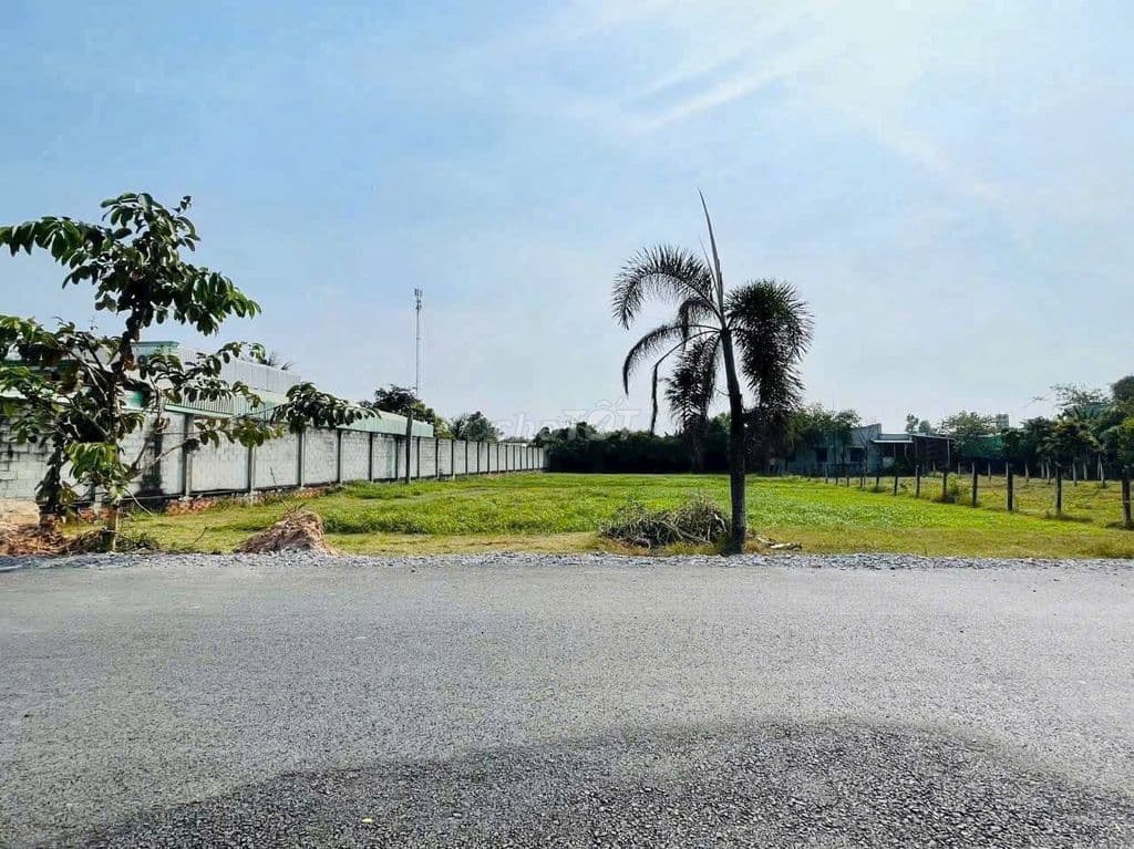 Đất làm vườn 500m2, ngang 13m cách QL22 chỉ 300m , thổ sẵn, SHR - Ảnh 2