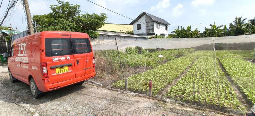 Đất thổ cư 1/Bùi Thị Lùng-Thới Tam Thôn-Hóc Môn.Dt 8x30~239m2~6ty