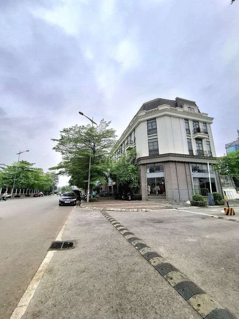 Bán đất đấu giá Thạch Bàn vỉa hè ô tô tránh kinh doanh cạnh Cổ Linh - Ảnh 3