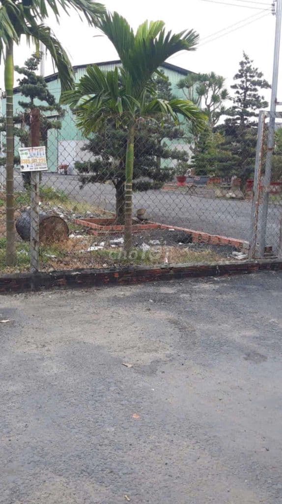 1725 m2 Đất Có Thổ Cư👉Đường Trải Nhựa Gần Lê Văn Khương ( Đông Thạnh) - Ảnh 3