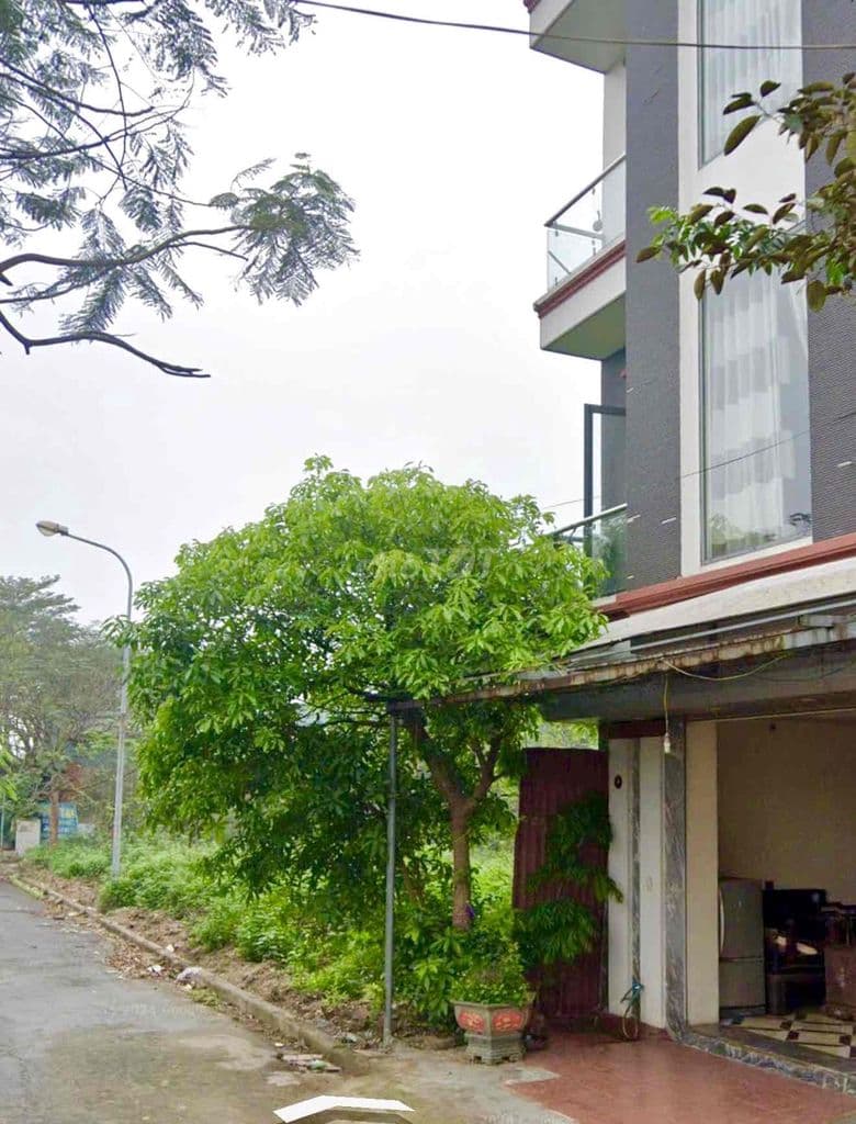 bán 500m đất sổ đỏ chính chủ Thư Lâm Đông Anh Hà Nội - Ảnh 2