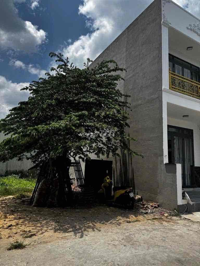 BÁN ĐẤT HẺM XE HƠI ĐƯỜNG CÂY CÁM, BÌNH TÂN - Ảnh 3