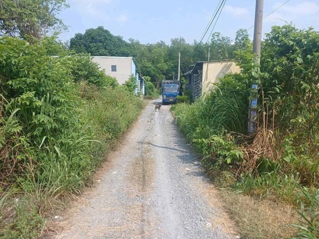 ĐẤT THỔ CƯ ĐƯỜNG 130 TÂN THẠNH ĐÔNG DT 6.2 X 30M, ĐƯỜNG 7M